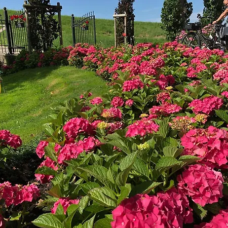 Bij De Neckermolen- Bed And Beemster